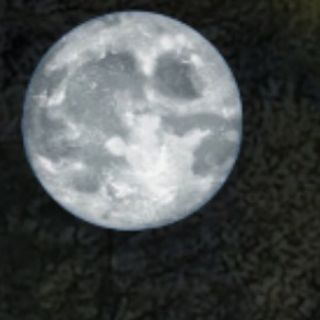Księżycowy spływ pontonowy BLUE MOON
