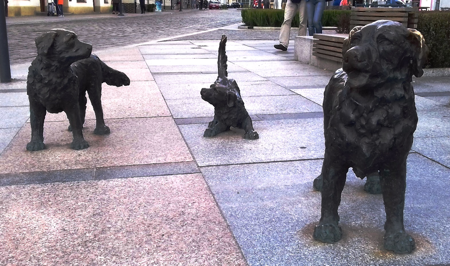 Psie Pole małomiasteczkowe klimaty we Wrocławiu