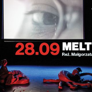 Spektakl „Meltdown” w reż. Małgorzaty Lech w ramach teatru na Faktach