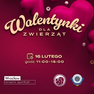 Kiermasz walentynkowy we wrocławskim schronisku