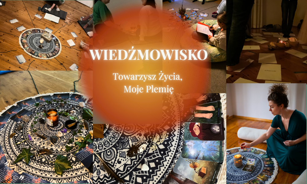 Wiedźmowisko – Towarzysz Życia, Moje Plemię. Ponad półroczny program rozwojowy