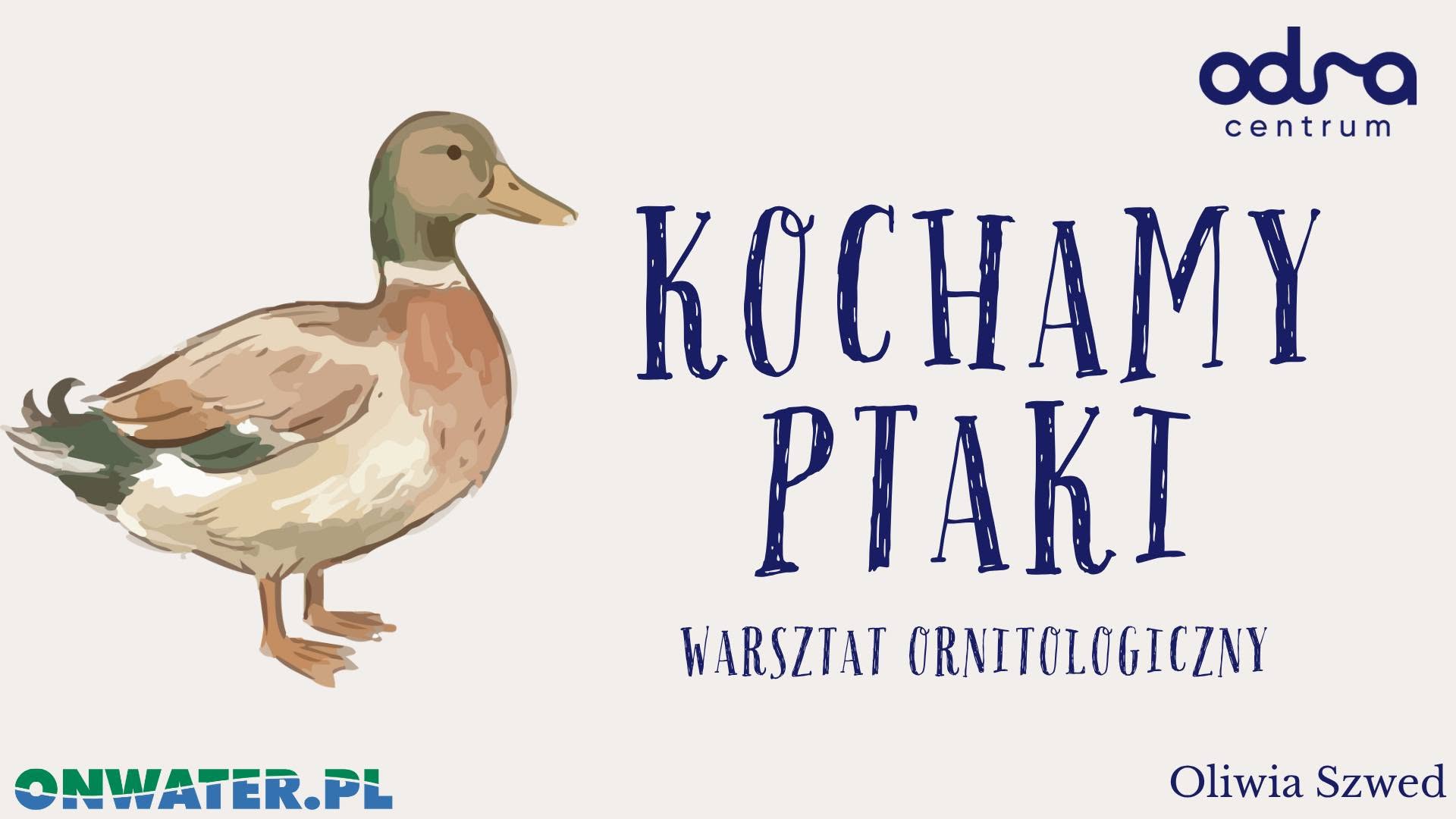 Kochamy Ptaki – bezpłatne warsztaty ornitologiczne