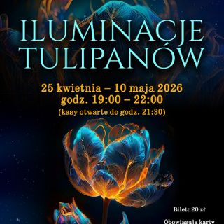 Wieczorne Iluminacje Tulipanów w Ogrodzie Botanicznym UWr