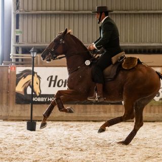 VI Wroclove Międzynarodowe Zawody Working Equitation WAWE
