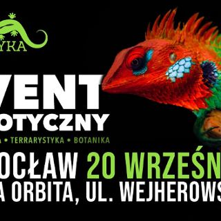 ZooEgzotyka