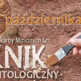 Odnalezione Skarby Minionych Er: Piknik Paleontologiczny