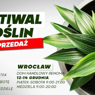 Wyprzedaż Festiwalu Roślin