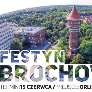 25 Festyn Brochowski