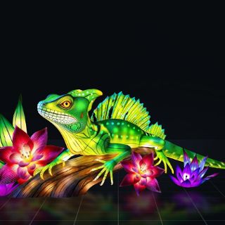 Garden of Lights – Dzika Ameryka