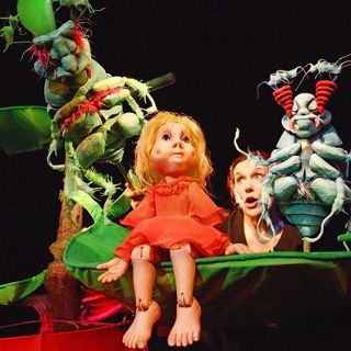 Wrocławski Teatr Lalek wraca do gry – nowy sezon od 13 sierpnia
