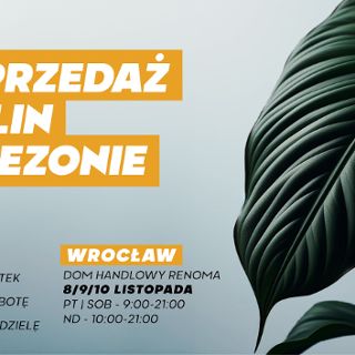 Wyprzedaż Festiwalu Roślin