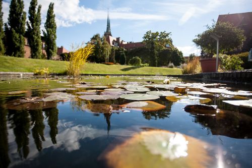 Ogród Botaniczny Uniwersytetu Wrocławskiego