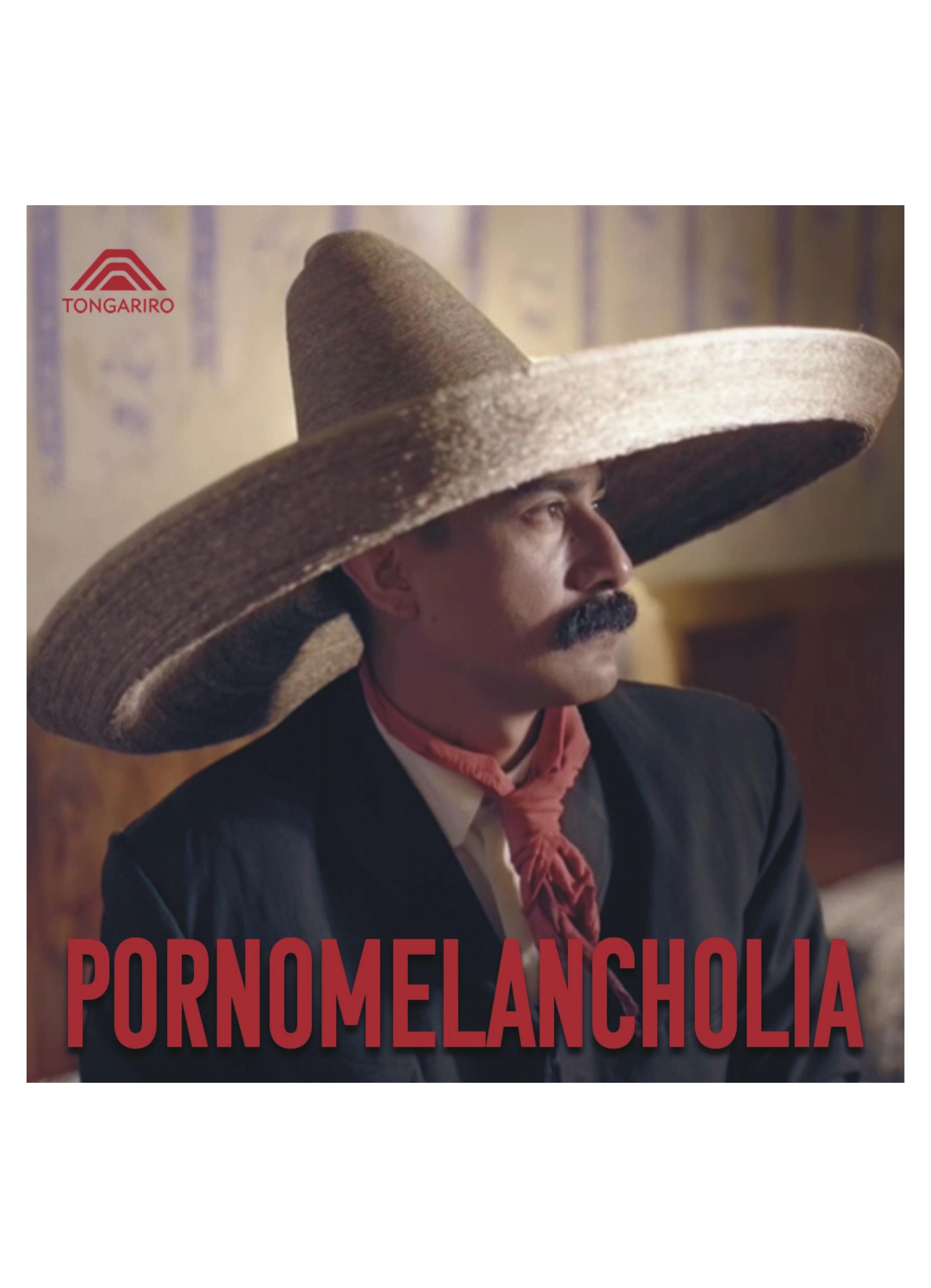 Pornomelancholia (Film 2024)