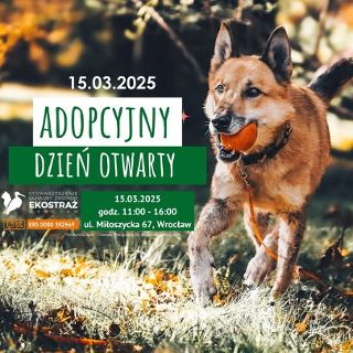 Adopcyjny Dzień Otwarty w EKOSTRAŻY!
