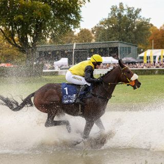 11 dzień wyścigowy. Crystal Cup 2025