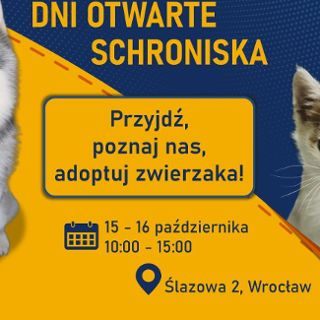 Dni Otwarte Schroniska dla Bezdomnych Zwierząt we Wrocławiu