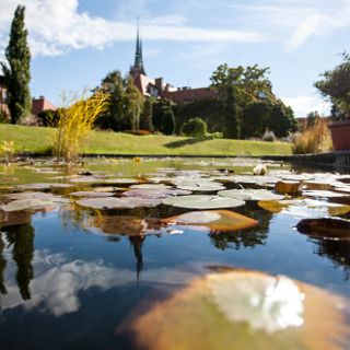Ogród Botaniczny Uniwersytetu Wrocławskiego