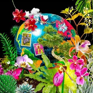 Światowa wystawa orchidei, bonsai i sukulentów