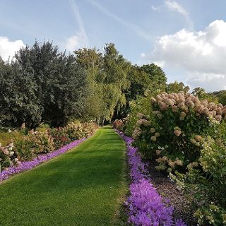 Arboretum w Wojsławicach – spacery po ogrodzie botanicznym pod Wrocławiem