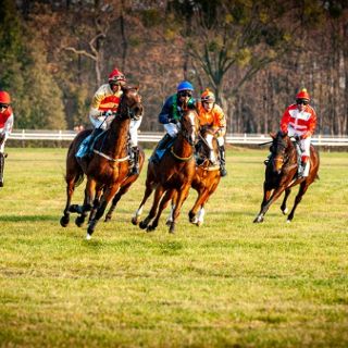 Wielki finał sezonu wyścigów konnych na Partynicach