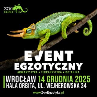 ZooEgzotyka