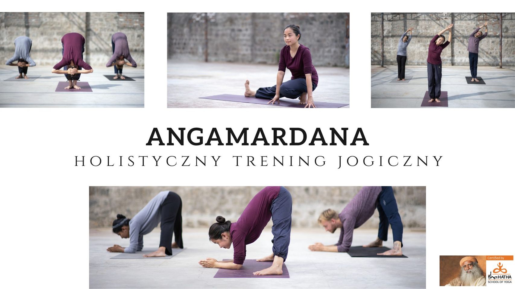 Yogasanas Starter Course — The Hatha Yoga Effect