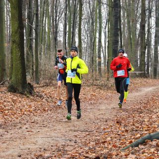 8. Cross Trzebnicki