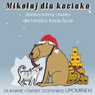 Mikołaj dla kociaka w MDK