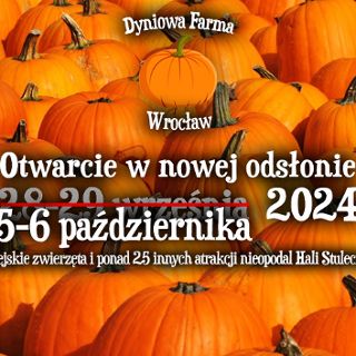 Otwarcie dyniowej farmy we Wrocławiu