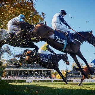 Jedenasty dzień wyścigowy 2026 - Crystal Cup