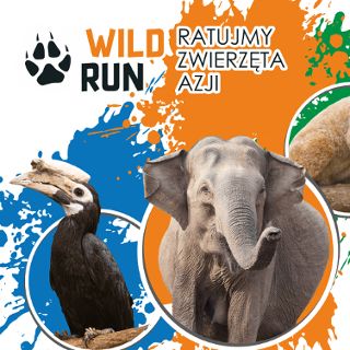Wild Run 2022 - dziki bieg w Zoo Wrocław