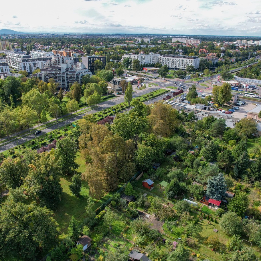 Spotkajmy się w mieście. Spacer po Borku