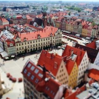 Bezpłatne Spacery Letnie – Fundacja Katarynka