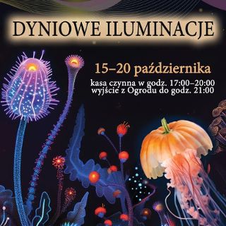 Dyniowe iluminacje w Ogrodzie Botanicznym