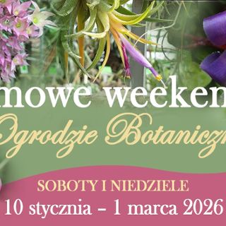 Zimowe weekendy w Ogrodzie Botanicznym