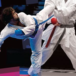 XXXVI Mistrzostwa Seniorów Karate WKF