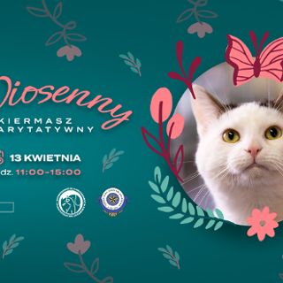 Wiosenny kiermasz charytatywny na rzecz wrocławskiego schroniska